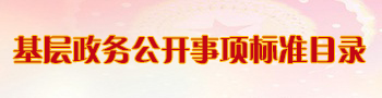 基層政務(wù)公開事項(xiàng)標(biāo)準(zhǔn)目錄